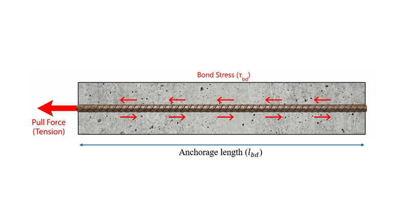 Anchorage length verification, smart optimisation & detailing